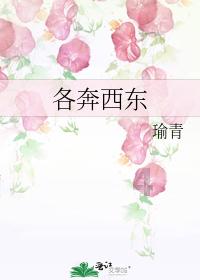 逗小猴开心系列208