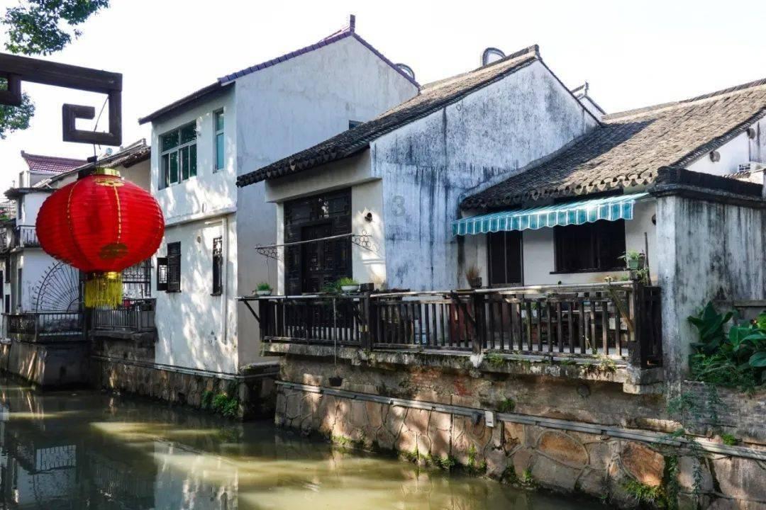 救援淘气的小狗
